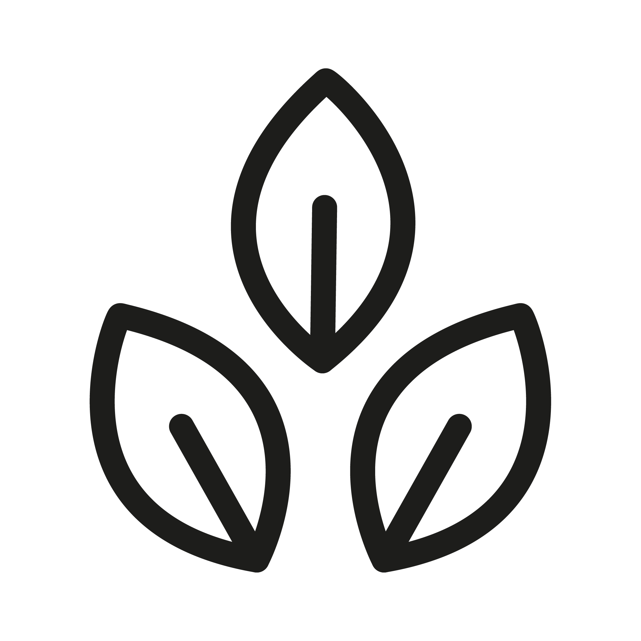 Si possible des produits biologiques suisses