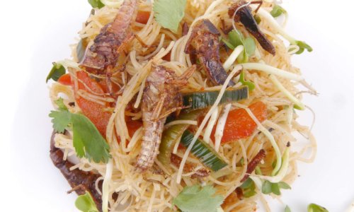 Criquets et grillons dans leur nid de nouilles